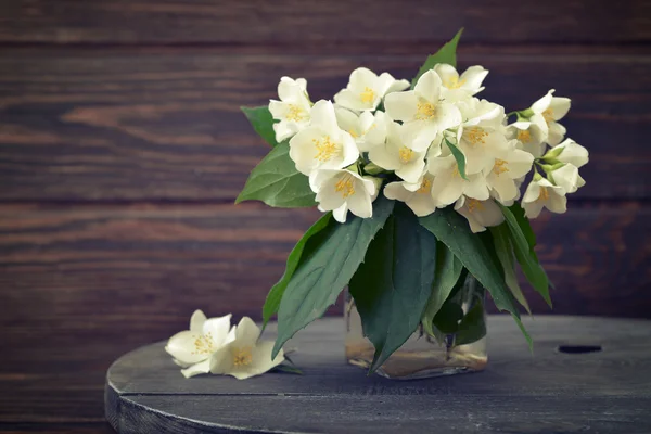 Bukiet kwiatów jaśminu — Zdjęcie stockowe