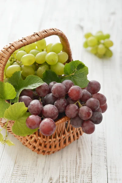 Red and green grapes — Stock Photo, Image