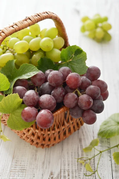 Red and green grapes — Stock Photo, Image