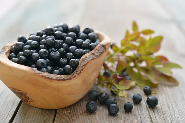 Fresh blueberry — Stock Photo, Image