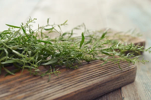 Fresh tarragon — Stock Photo, Image