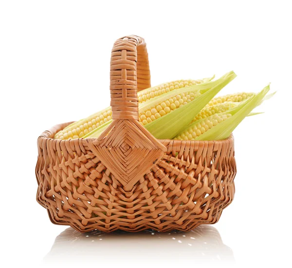 Mazorcas de maíz en canasta de mimbre —  Fotos de Stock