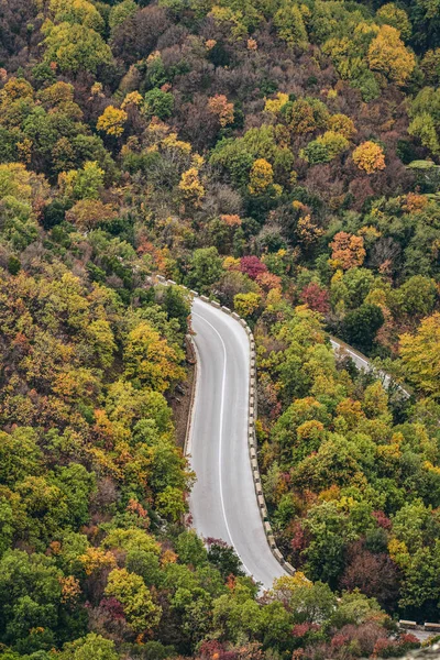 Curvy Road Beautiful Autumn Forest Sunset Top View Roadway Autumn — Stock Photo, Image