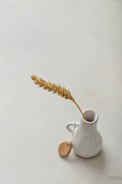 Tiny Vase One Spikelet Wheat Light Concrete Background Close — Stock Photo, Image