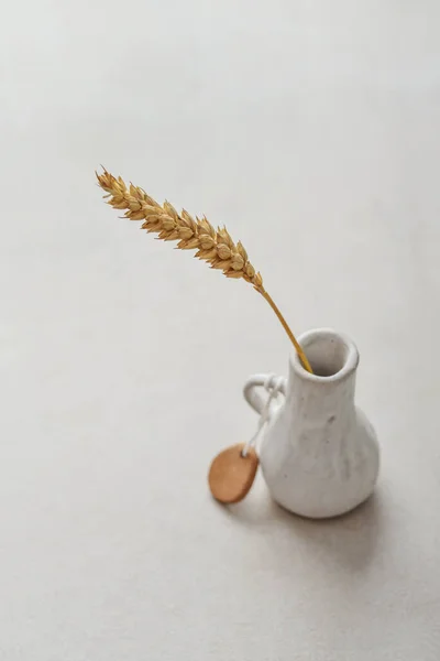 Tiny Vase One Spikelet Wheat Light Concrete Background Close — Fotografia de Stock