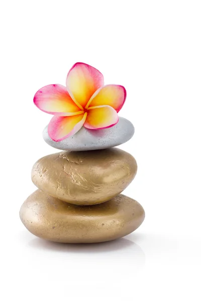 Frangipani bloem op stenen, geïsoleerd op wit — Stockfoto