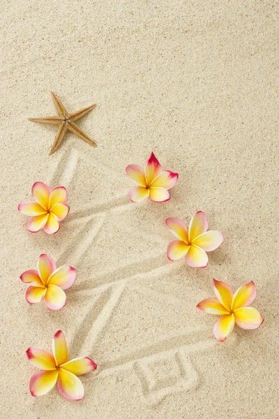 Drzewko wykonane z kwiatów piasku i frangipani. Boże Narodzenie plaży h — Zdjęcie stockowe