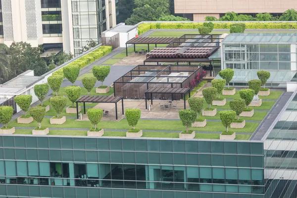 "Garden on the roof" concept — Stock Photo, Image