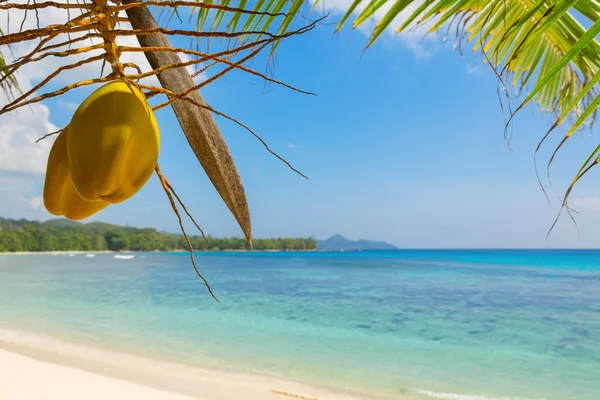 Typische strand op mahe island, Seychellen — Stockfoto