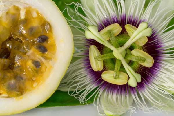 Flor de fruta de la pasión con fruta de la pasión cortada madura, macro Fotos de stock