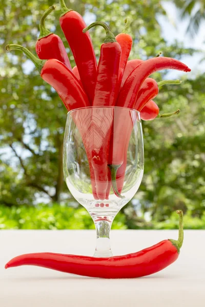 Bunch of fresh red hot (chilli) chilies pepper in a glass jar, w — Stock Photo, Image