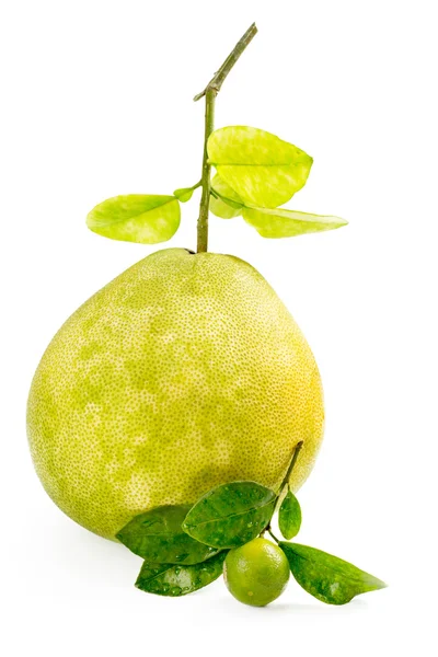 Groene pomelo fruit met kleine kalk op witte achtergrond — Stockfoto