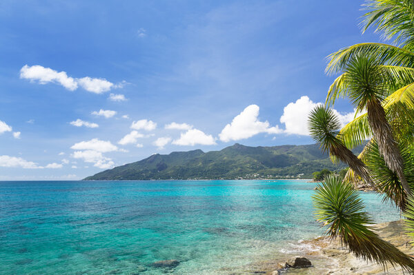 View at turquoise blue lagoon and hill and palm tree branches o