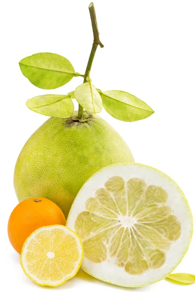 Pomelo fruit with cut lemon and orange, on white — Stock Photo, Image