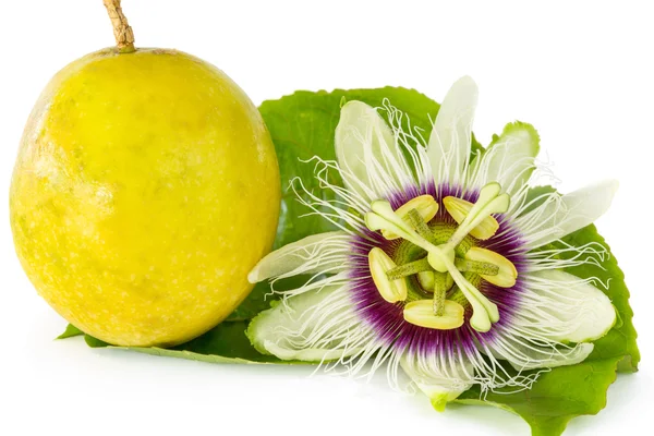 Flor de fruta de la pasión con fruta de la pasión madura — Foto de Stock