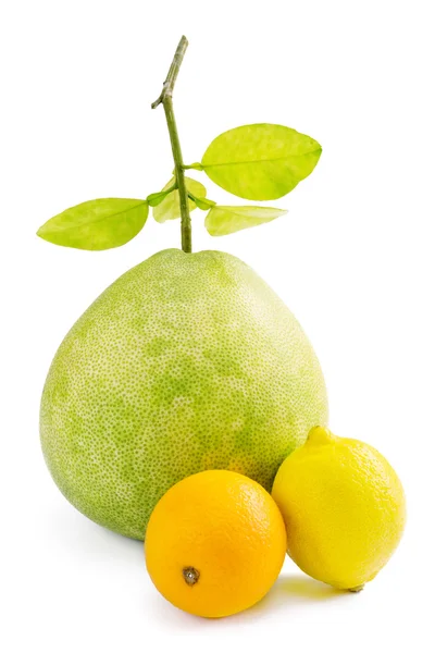 Green Pomelo fruit with lemon and orange, on white — Stock Photo, Image