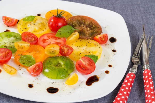 다채로운 토마토 샐러드 — 스톡 사진