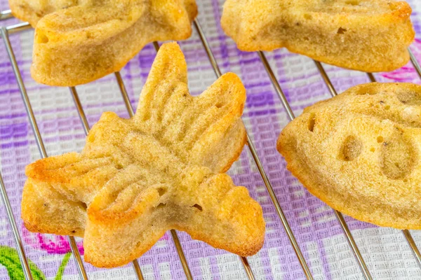 Variedad de magdalenas caseras en forma de mariposa y libélula — Foto de Stock