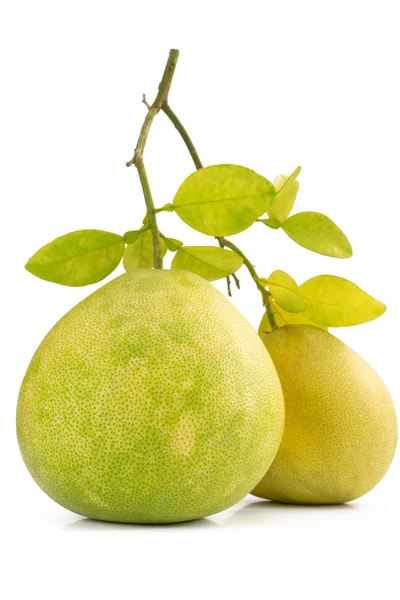İki yeşil pomelo meyve üzerinde beyaz backgorund