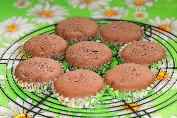 Cupcakes recién respaldados en rejilla de metal que se enfría — Foto de Stock