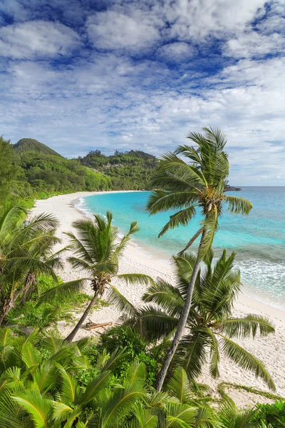 Pláž "anse intendance", mahe — Stock fotografie