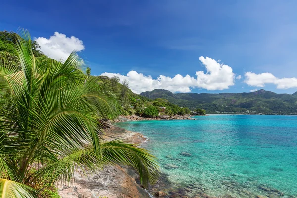 Blick auf türkisblaue Lagune und Hügel und Palmenzweige o — Stockfoto