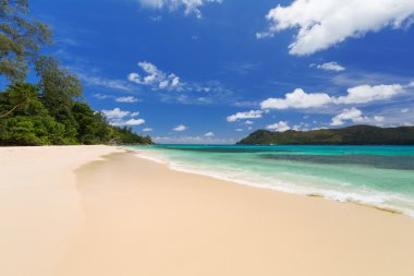 Tropik sahil, deniz ve gökyüzü