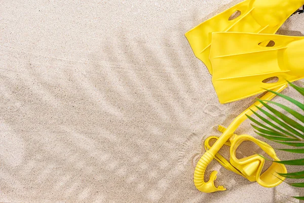Gele Snorkeluitrusting Zandondergrond Met Schaduw Palmblad — Stockfoto