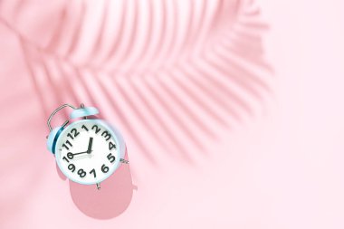 Yazın mavi alarm saati fikri ve pembe arka planda tropikal palmiye yaprağı gölgesi, üst manzara, sert gölge, kopyalama alanı 