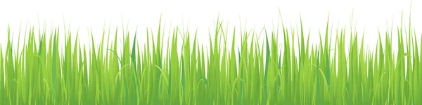 Grass vector background pattern — Stock Vector