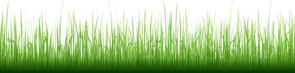 Patrón de fondo vector hierba — Vector de stock