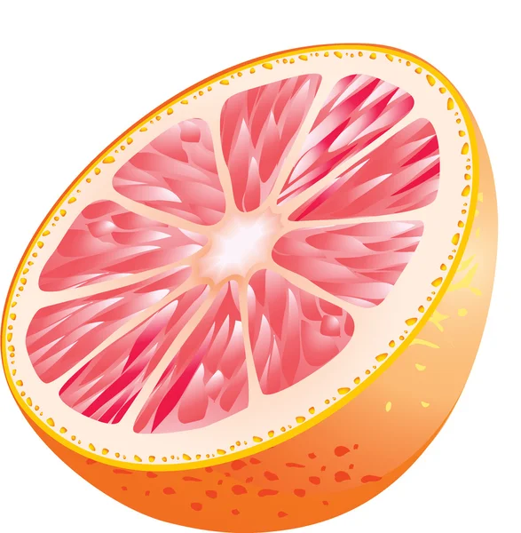 Vector Pomelo — Vector de stock