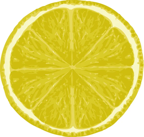 Färsk citron och citronskiva. vektor illustration. — Stock vektor