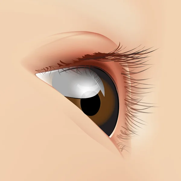 Eye of the person vector — Stock Vector