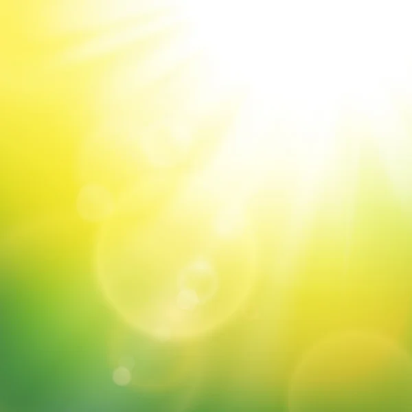 Vector abstract background with summer sun and lens flares