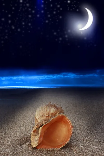 The beach at night — Stock Photo, Image