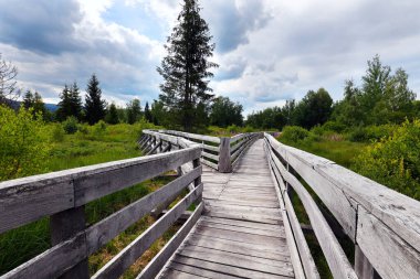 Tarnawa Wyna Torfowisko Bieszczady Dağları 'nda, güzel turba bataklığı üzerinde, Polonya Bieszczady Dağı' ndaki San Nehri sınır vadisini gezmek için uygun bir rota ile.