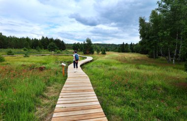 Tarnawa Wyna Torfowisko Bieszczady Dağları 'nda, güzel turba bataklığı üzerinde, Polonya Bieszczady Dağı' ndaki San Nehri sınır vadisini gezmek için uygun bir rota ile.