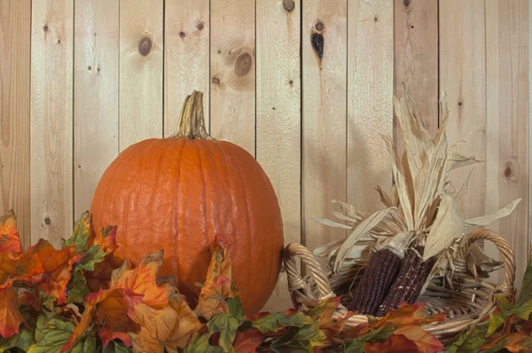 Calabaza y follaje de otoño —  Fotos de Stock