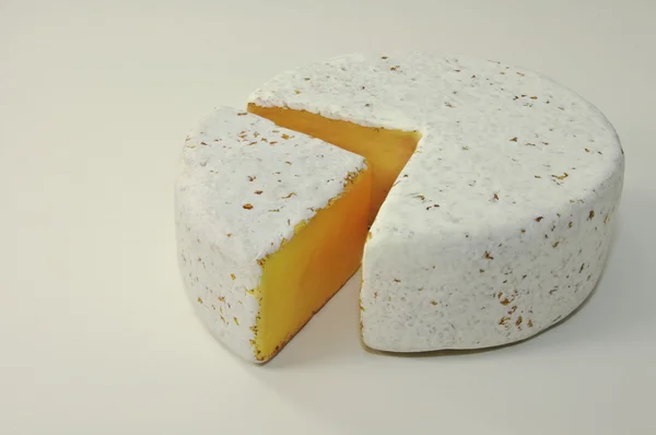 Roue de fromage — Photo