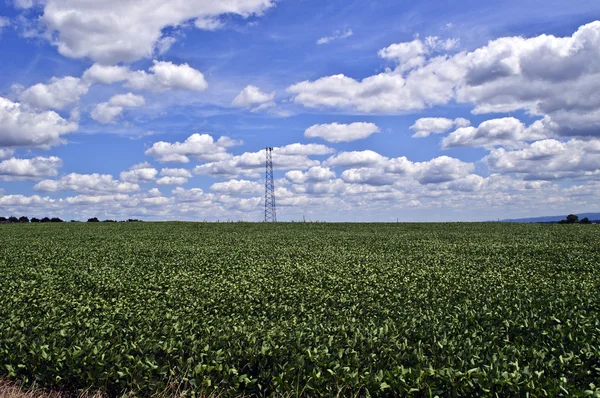 Communication Tower — Stock Photo, Image