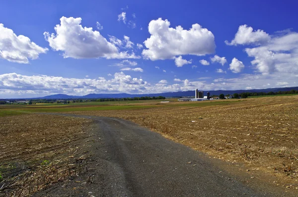 Farm lane — Stock Photo, Image