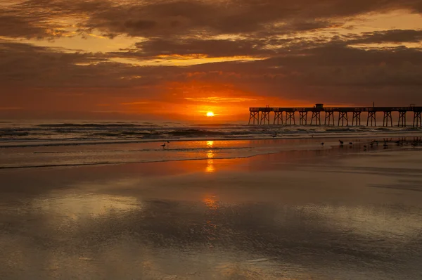 Ocean sunrise — Stockfoto