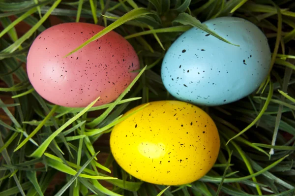 Huevos de Pascua — Foto de Stock