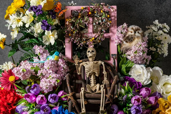 Skelett Rustikalen Stuhl Vor Pinkfarbener Tür Umgeben Von Blumen Schmetterlingsvogel — Stockfoto