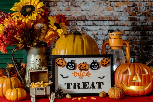 Halloween Still Life Trick Treat Sign Skeleton Holding Box Candy — Stockfoto