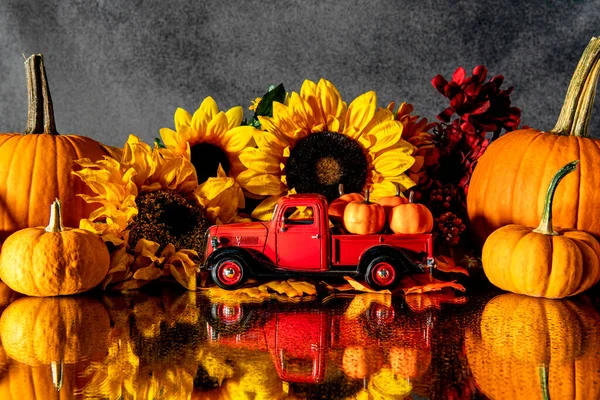 Calabazas Otoño Girasoles Con Camioneta Roja Reflejándose Espejo Húmedo Con —  Fotos de Stock