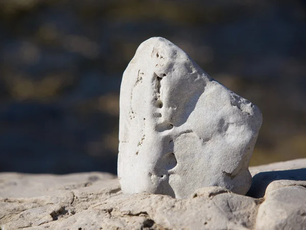 Steen op het strand — Stockfoto