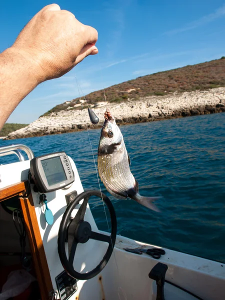 Fish on the hook — Stock Photo, Image