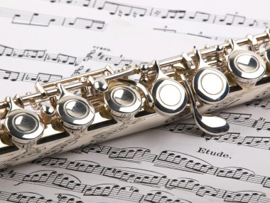 Flute and notes